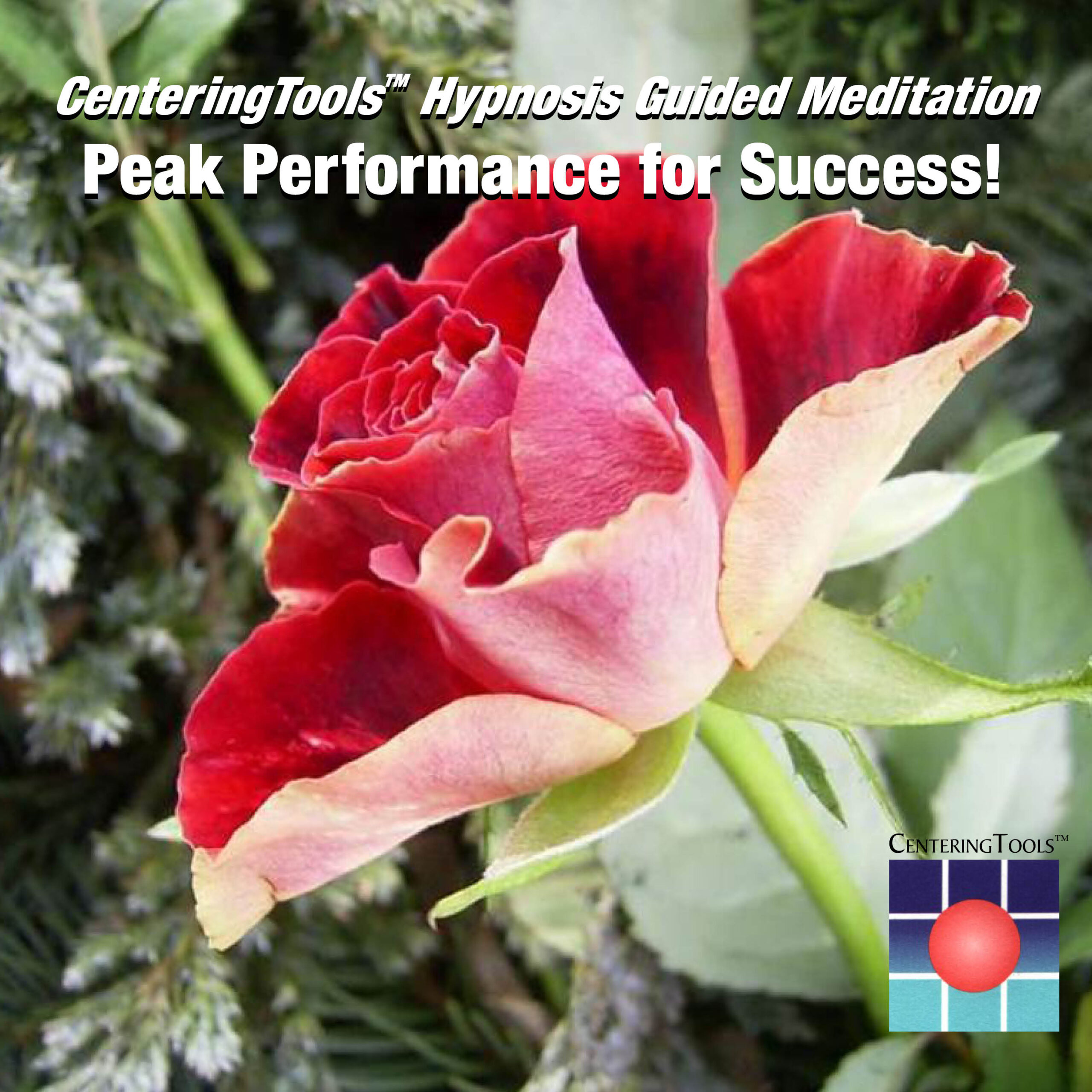 Guided Meditation Audio Package: Success: Create your Best Future - Image 4