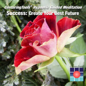 Guided Meditation Audio Package: Success: Create your Best Future