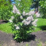 Zoom workshop: embracing brokenness