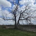 Fall 2026 workshop details
